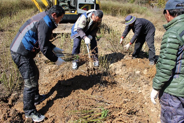 사본 -IMG_0176.jpg